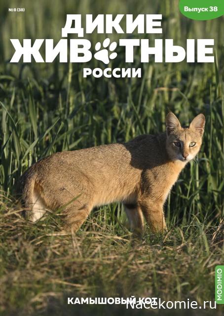 Дикие животные России (MODIMIO)