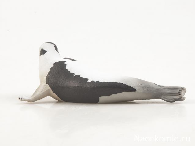 Дикие животные России (MODIMIO)