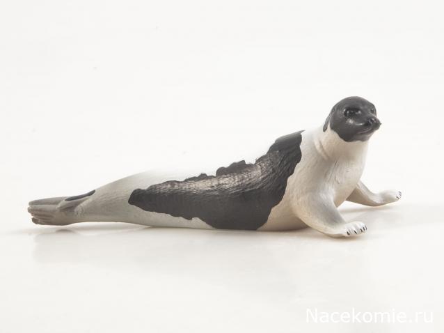 Дикие животные России (MODIMIO)