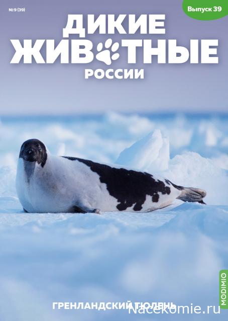 Дикие животные России (MODIMIO)