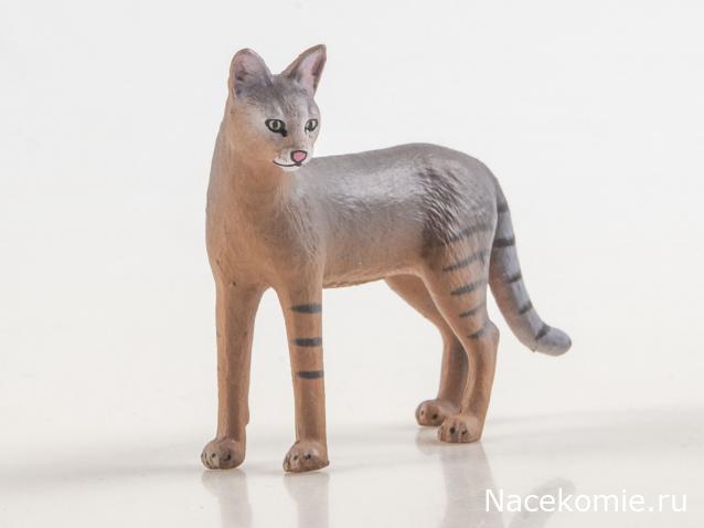 Дикие животные России (MODIMIO)