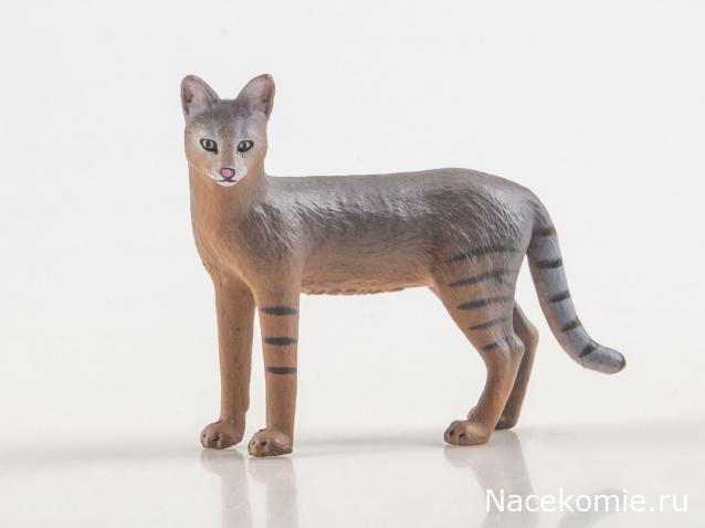 Дикие животные России (MODIMIO)