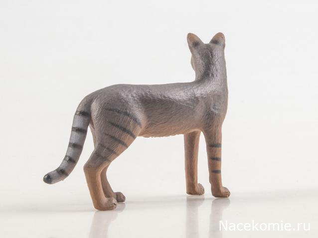 Дикие животные России (MODIMIO)