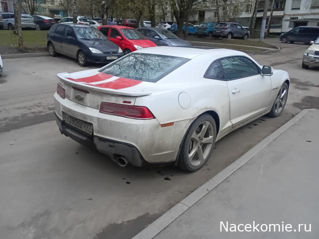 Автолегенды вживую