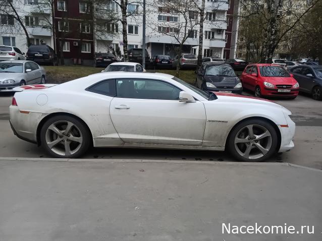 Автолегенды вживую