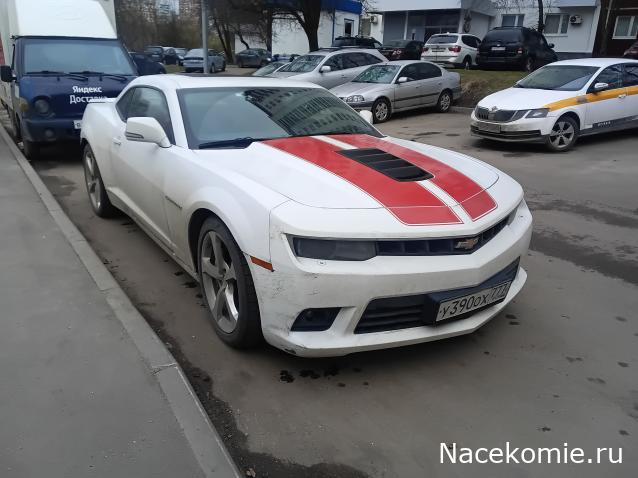 Автолегенды вживую