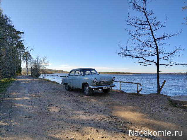 Автолегенды вживую
