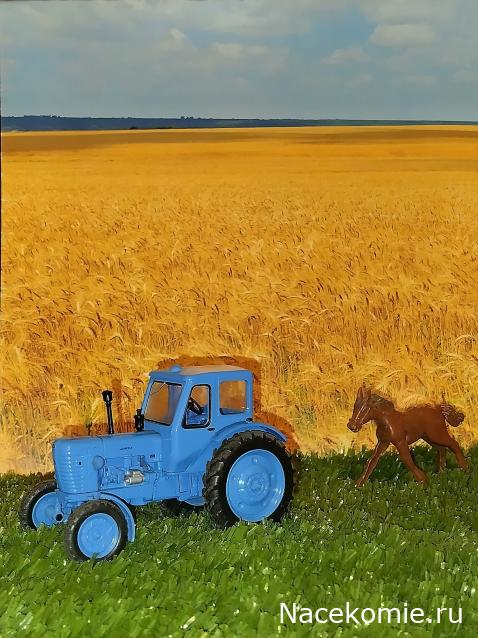 Конкурс "Летнее настроение" - фото, 1-й тур
