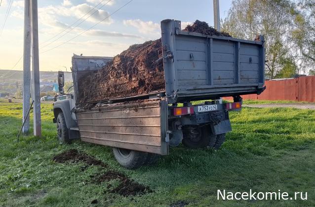 Автолегенды вживую