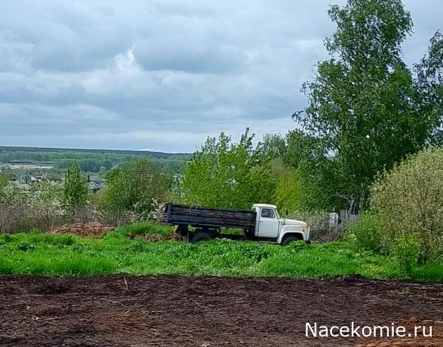 Автолегенды вживую