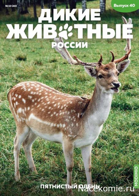 Дикие животные России (MODIMIO)
