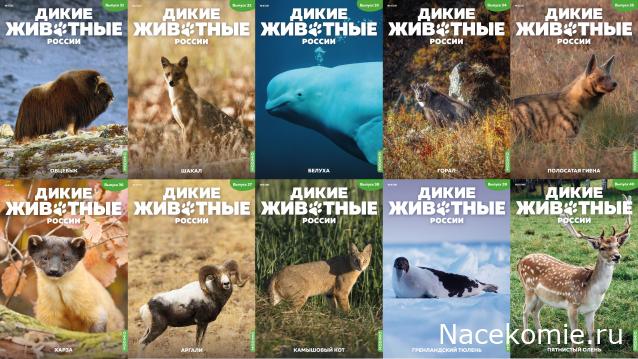 Дикие животные России (MODIMIO)