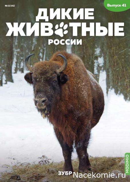 Дикие животные России (MODIMIO)
