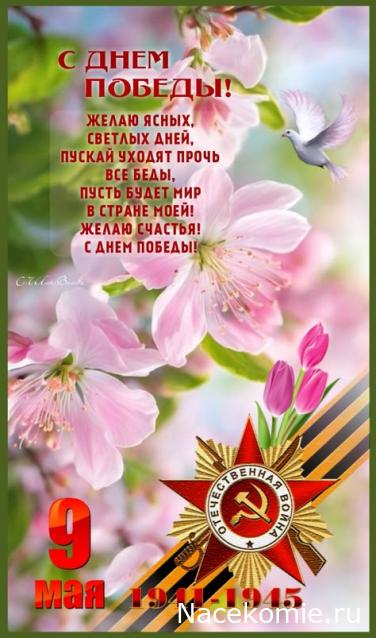 Праздник каждый день - поздравлялка Авторазделов