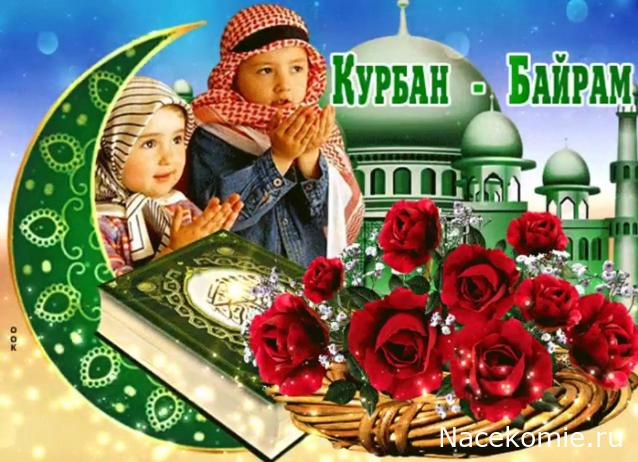 Радиорубка наших поездов: поздравления для всех тех, с кем нам по пути!