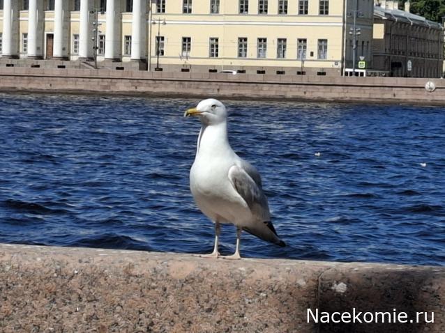 Мой любимый город или дорогие сердцу места