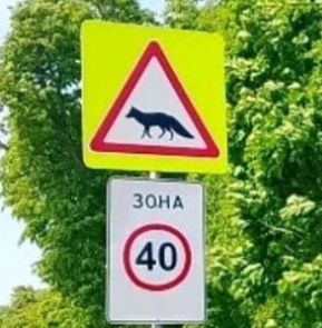Мой любимый город или дорогие сердцу места