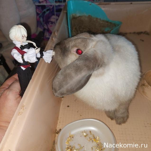 olga63- не знаю что получится