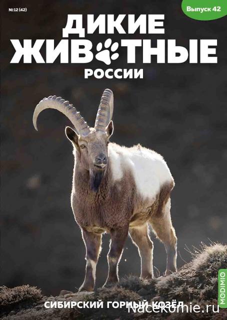 Дикие животные России (MODIMIO)