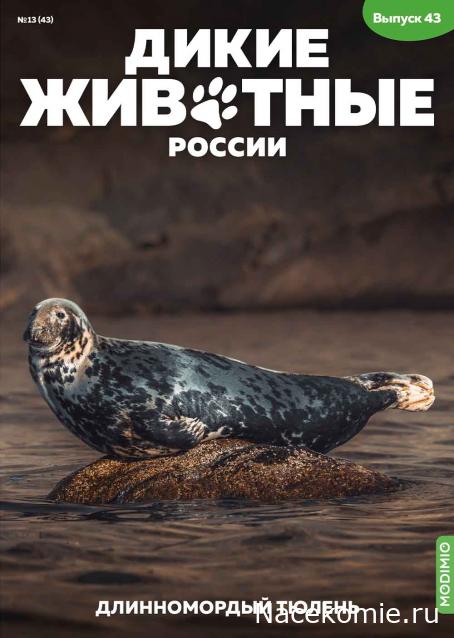 Дикие животные России (MODIMIO)