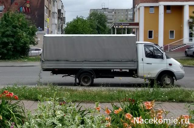 Автолегенды вживую