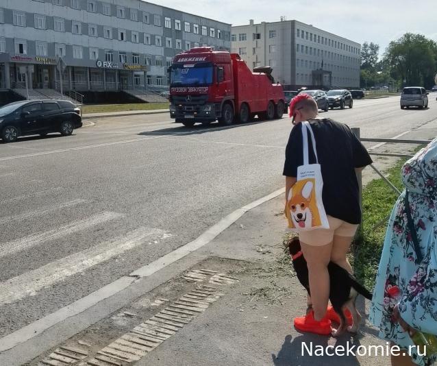 Автолегенды вживую