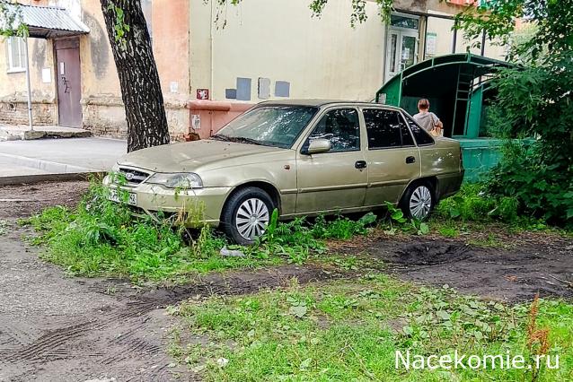 Автолегенды вживую