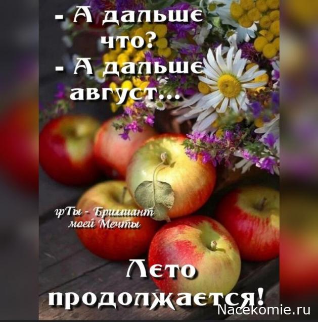 Праздник каждый день - поздравлялка Авторазделов