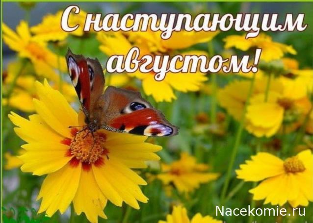 Праздник каждый день - поздравлялка Авторазделов