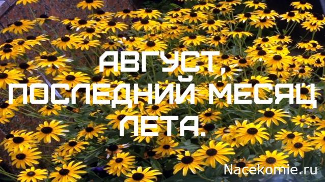 Праздник каждый день - поздравлялка Авторазделов