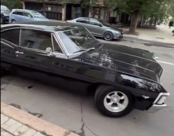 Автолегенды вживую