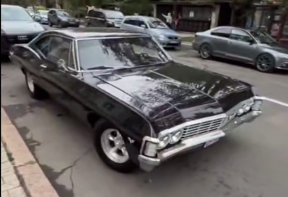 Автолегенды вживую