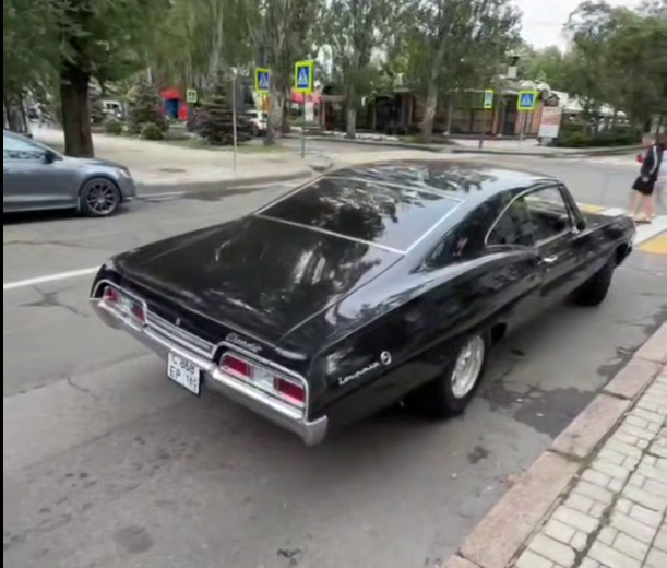 Автолегенды вживую