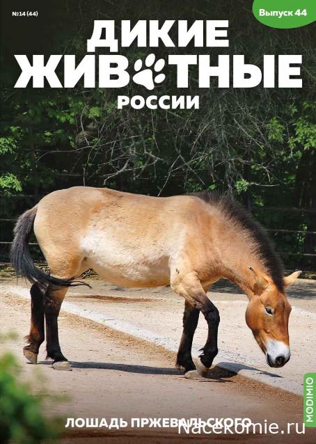 Дикие животные России (MODIMIO)