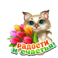 Наши Дни Рождения