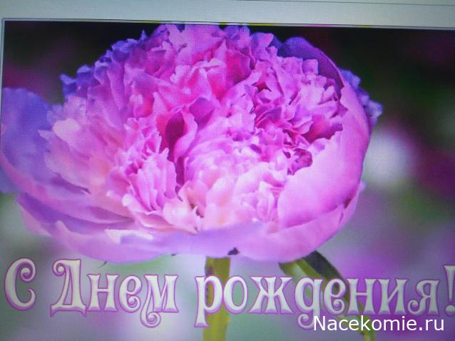 Наши Дни Рождения