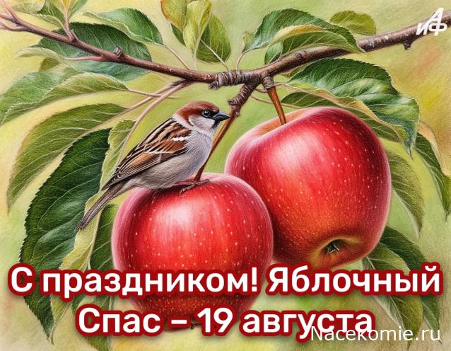 Праздник каждый день - поздравлялка Авторазделов