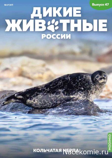 Дикие животные России (MODIMIO)