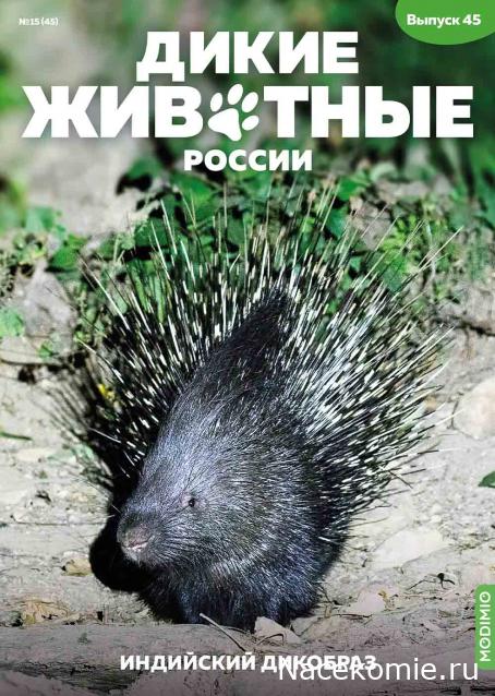 Дикие животные России (MODIMIO)