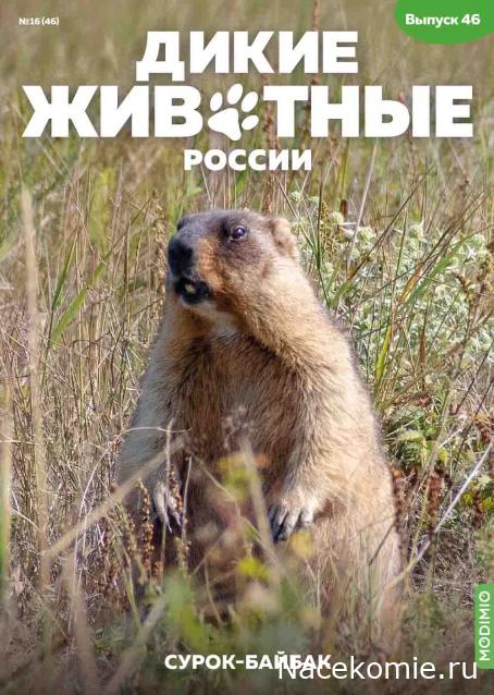 Дикие животные России (MODIMIO)