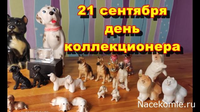 Радиорубка наших поездов: поздравления для всех тех, с кем нам по пути!