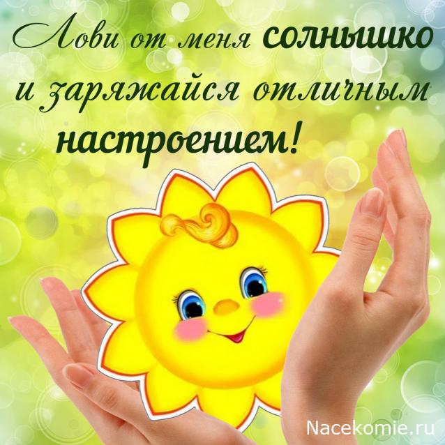 Liana65-Snegana - Мой будущий дом и его обитатели.