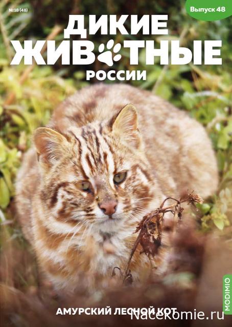 Дикие животные России (MODIMIO)