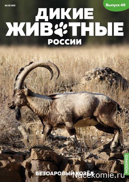 Дикие животные России (MODIMIO)