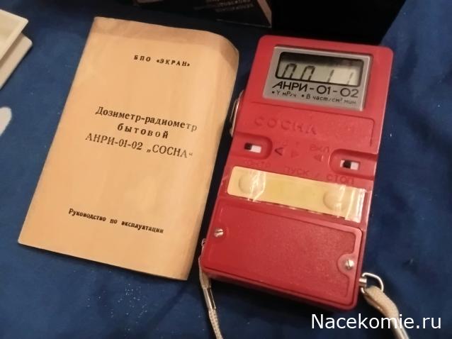 Вперёд в прошлое!