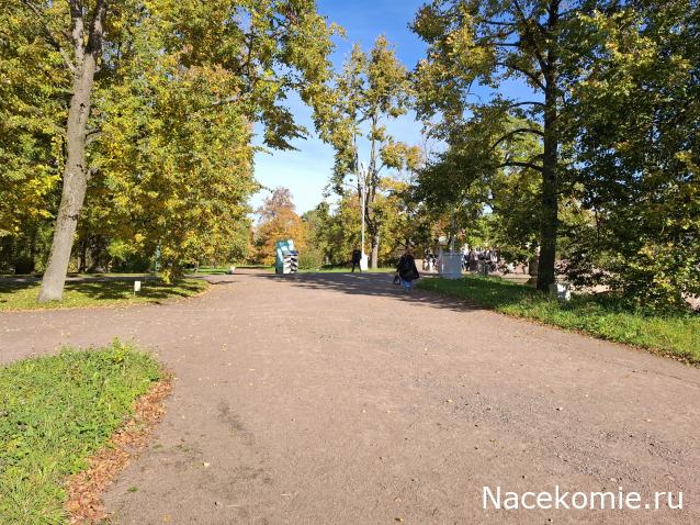 Мой любимый город или дорогие сердцу места