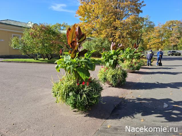 Мой любимый город или дорогие сердцу места