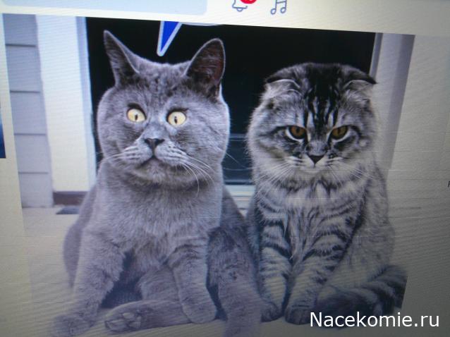 Eva1949 - Дом мечты-души моей воспоминания; 1Abrikoska - Мой гостеприимный дом