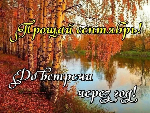 Праздник каждый день - поздравлялка Авторазделов