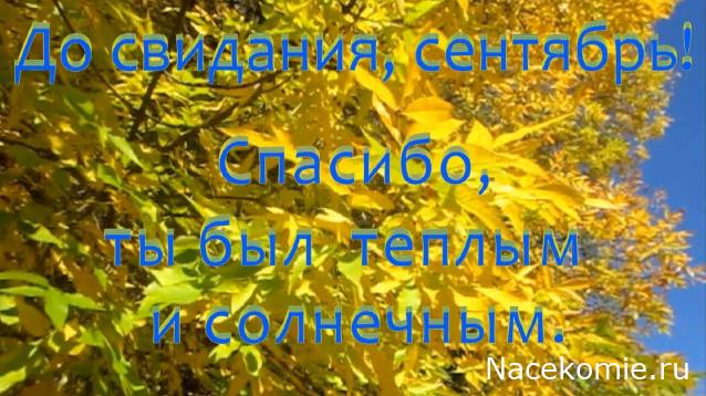Праздник каждый день - поздравлялка Авторазделов